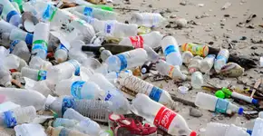 Unicamp ajuda na descoberta de enzima que come plástico