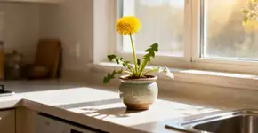 Foto: (Imagem sem texto alternativo disponivel ID [2670044])