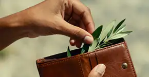 Pendurar folhas de louro na porta do quarto: Por que é recomendado?