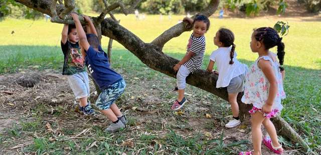 Virada da Primeira Infância