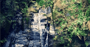 Foto: (Imagem sem texto alternativo disponivel ID [1635348])