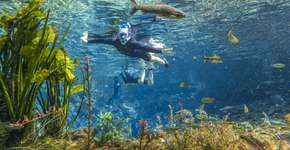 Foto: (Divulgação)