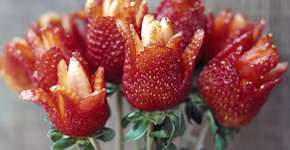 Foto: (Imagem sem texto alternativo disponivel ID [917295])