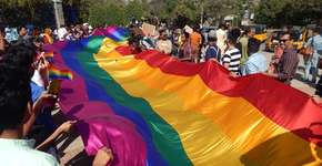 Foto: (Reprodução/iStock/reddees)