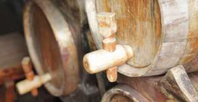 Em 40 anos, engenheiro brasileiro transformou rochedo em ilha sustentável