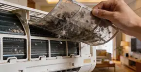 Foto: (Imagem sem texto alternativo disponivel ID [2701477])