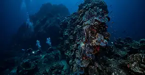 Com mais de 30 metros de altura, e quase 200 pés de largura na base e pode ser mais antiga que muitos monumentos; agora a NOAA acredita que esse coral Maug pode possuir pistas para o futuro dos recifes