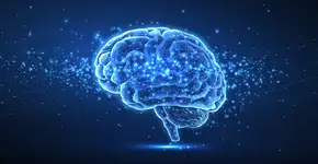 Afinal, em que idade somos mais inteligentes? Estudo responde