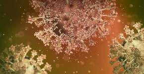 Cientistas alertam que nova variante da Ômicron é supercontagiosa