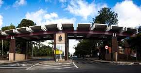 Foto: (Divulgação)