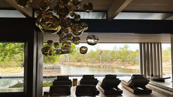 Vista da piscina para a savana, onde estão os animais livres