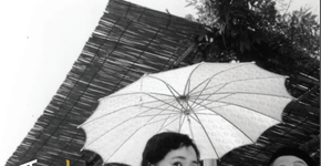 Mostra de diretores do cinema japonês