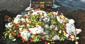 Foto: (Imagem sem texto alternativo disponivel ID [416883])