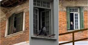 A Mulher da Casa Abandonada: como estão os personagens desta história?