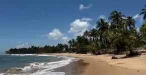 Foto: (Divulgação)