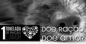 Foto: (Imagem sem texto alternativo disponivel ID [854868])