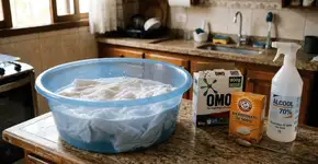 Foto: (Imagem sem texto alternativo disponivel ID [2767720])