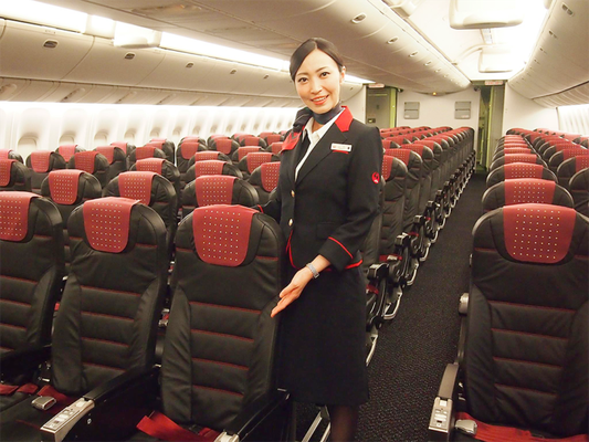 6 - Japan Airlines (Japão)