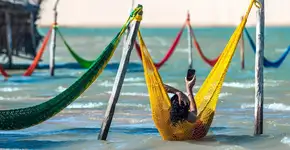 Foto: (xeni4ka/iStock)