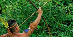 Arqueiros indígenas da Amazônia: tradição milenar ganha o mundo