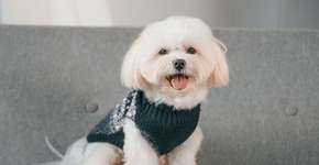 Foto: (Imagem sem texto alternativo disponivel ID [2613890])