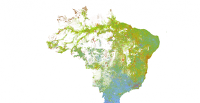 Foto: (Imagem sem texto alternativo disponivel ID [1006165])