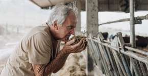 Foto: (Getty Images)