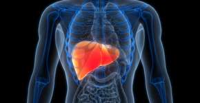 Câncer de fígado: atenção aos sintomas comuns que podem indicar a doença