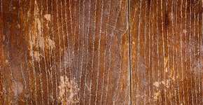 Foto: (Imagem sem texto alternativo disponivel ID [930601])