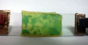 Foto: (Imagem sem texto alternativo disponivel ID [1894738])