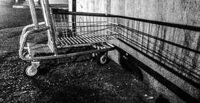 Foto: (Imagem sem texto alternativo disponivel ID [732553])