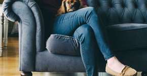 Aplicativo ajuda monitorar animais em casa ou no pet shop