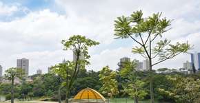 Foto: (Fotos: Helber Aggio/PSA)