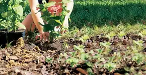 Foto: (Imagem sem texto alternativo disponivel ID [1606757])