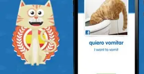 Startups fecham parceria para oferecer aula de artesanato na web