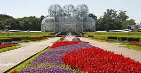 Foto: (Imagem sem texto alternativo disponivel ID [781507])