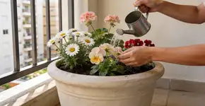 Foto: (Imagem sem texto alternativo disponivel ID [2680613])