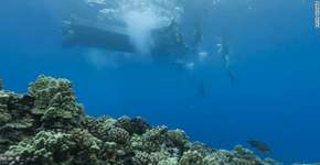 Google Maps chega ao fundo do mar