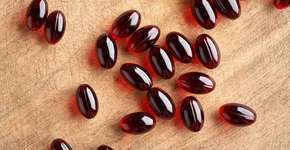 Foto: (Madeleine_Steinbach/istock)