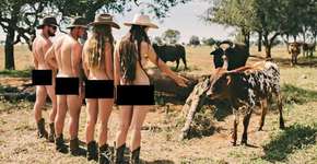 Formandos em veterinária tiram a roupa para arrecadar dinheiro