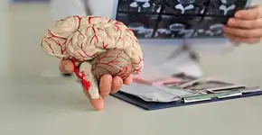 Alzheimer: estudo mostra como novo tratamento pode controlar os sintomas