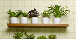 Foto: (Imagem sem texto alternativo disponivel ID [421775])