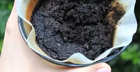 5 jeitos de reaproveitar a borra de café em casa