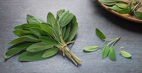 Conheça as melhores ervas para memória e saúde cerebral