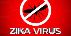 7 coisas que você precisa saber sobre o zika vírus