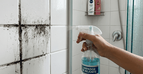 Foto: (Imagem sem texto alternativo disponivel ID [2760205])