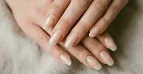 Foto: (Imagem sem texto alternativo disponivel ID [2749500])