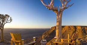 Foto: (Divulgação)