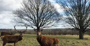 Foto: (Imagem sem texto alternativo disponivel ID [1043715])