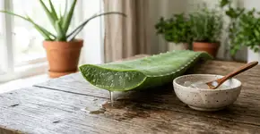 Foto: (Imagem sem texto alternativo disponivel ID [2759922])